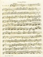 e15-violin-12