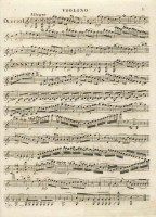 e2-hoffman-op5-violin-fac