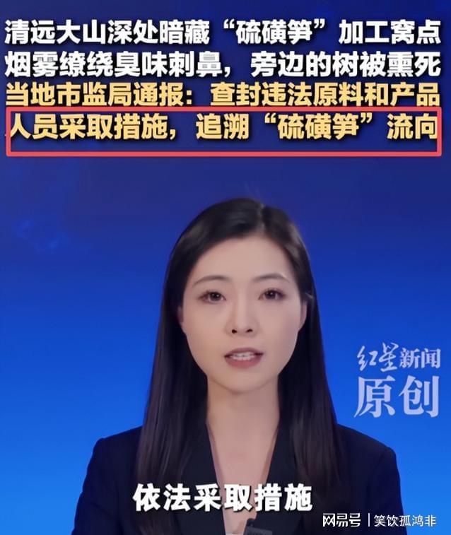 超软弹：森马两用洞洞鞋29元到手